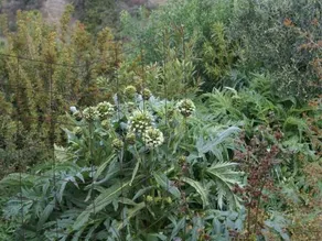 Holiday Home with Garden in Kritinia - Image 4