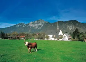 Gästehaus Färbinger - Image 4