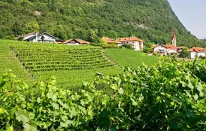 Hotel Das Kaltern - Image 2