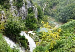 Green Eden - Image 2