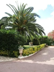 Villa La Renaissance - Image 4