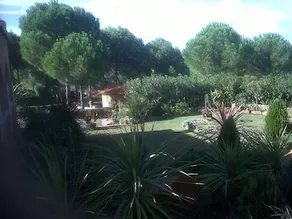 Finca La Chatarre - Image 4