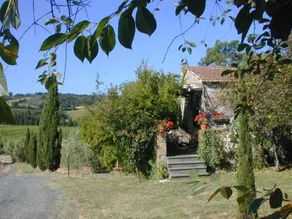 Piccolo Sole - Image 5