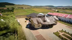 Korona King - Image 5
