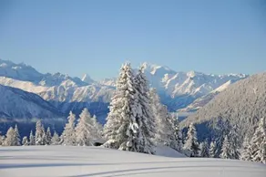 Favorite - Image 5