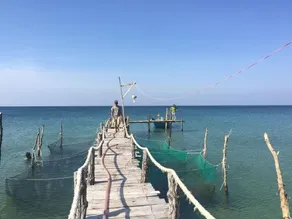 The River Mouth Phu Quoc - Image 4