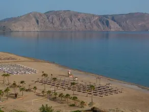 Delfina Beach - Image 5