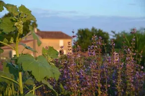 Chambres D'Hotes La Mazraa - Image 5