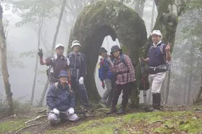 Pension Ippekiko - Image 4