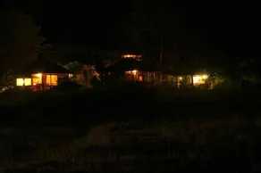 Jungle Retreat Wayanad - Image 2