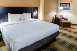 Best Western Plus North Savannah - Image 4