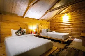 Suro Treehouse Resort - Image 3