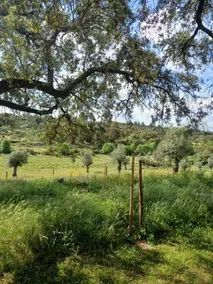 Monte Da Fonte Santa De Sao Luis - Image 2