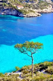 Le Cezanne par Dodo-a-Cassis - Image 2