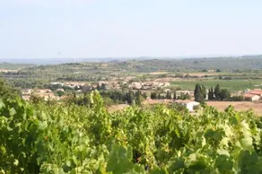 Chez Sven - Image 3