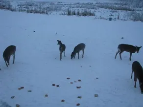 Jewel Of The North Getaway - Image 3