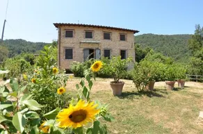 Bettina - Image 4