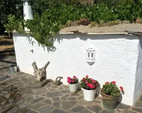 Cortijo Solera - Image 3