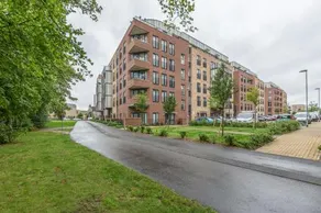 CONEN Image Court - Image 5