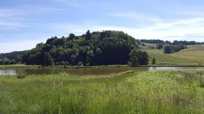 Blauregenhof - Image 3