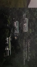 Paithalhill resorts - Image 5