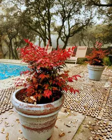 Casa Rural De Rafael Suites De Madera - Image 4