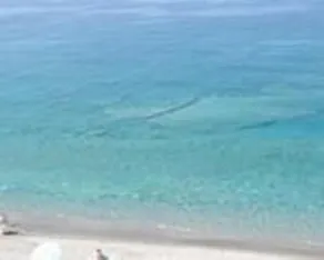 Terrazza Sul Mare - Image 5