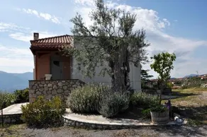 To Selas - Image 3