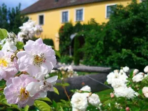Marienschlössl - Image 4