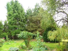Holiday home Augeres 1 - Image 4