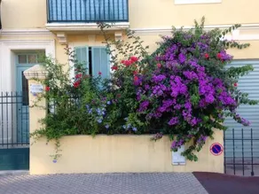 La Maison Au Soleil - Image 3