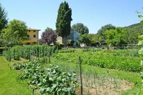 Fattoria I Trebbi - Image 5