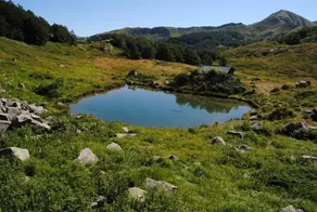 Albergo Val Di Luce - Image 5
