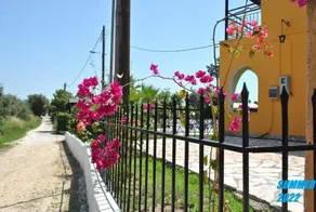 Palmyra Studios - Image 4