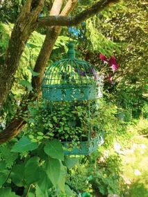 Bed and Breakfast Wildrose - Image 4
