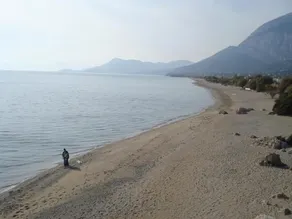 Pelagia - Image 5