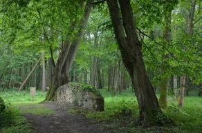 Domaine De Fremigny - Image 3