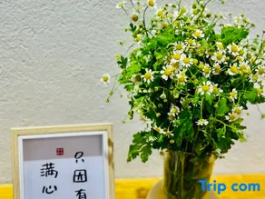 Bohai Xinglin Spring Inn - Image 2