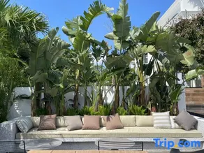 Pianfang Shanchi Holiday Villa - Image 5