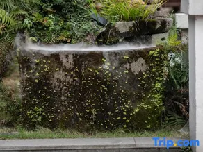 Jinshui Tingshan Inn - Image 4