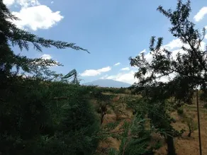 Turismo Rurale Oro Verde - Image 2