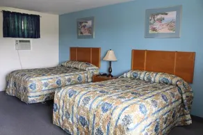 Krystal Penguin Inn - Image 5