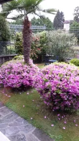 Bed & Breakfast Gli Oleandri - Image 2