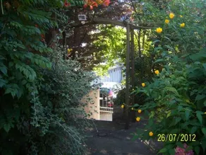 L'Andrea - Image 4