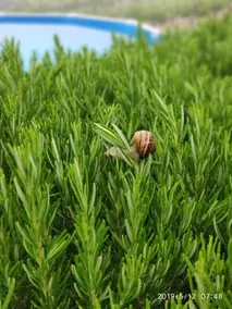 Green Farm-small paradise! - Image 5