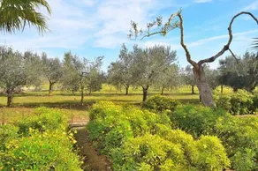 Villa Son Perxa 216 By Mallorca Charme - Image 3