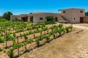 thesuites FORMENTERA - Image 5