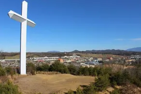 What A View - Image 5