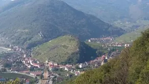 Lugerfarm - Image 5
