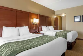 Comfort Inn Warren Warren - Image 5